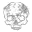 Regional Boss